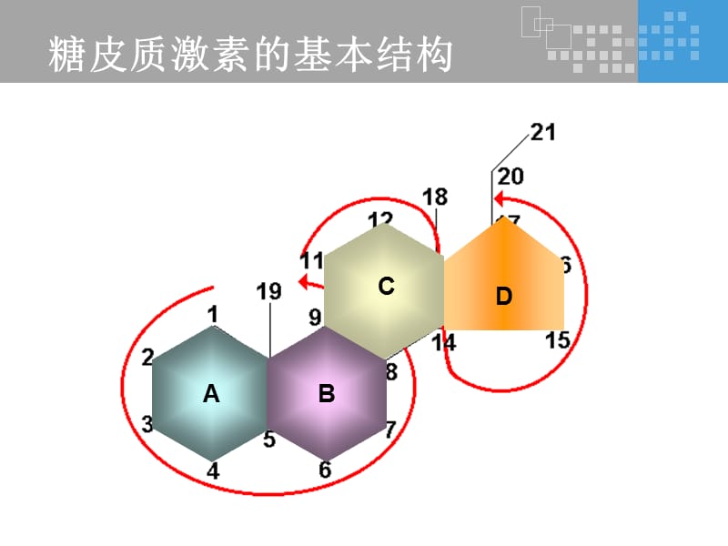氟轻松是如何发挥其药理作用的？